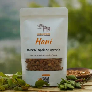 Hunza Apricot Kernels