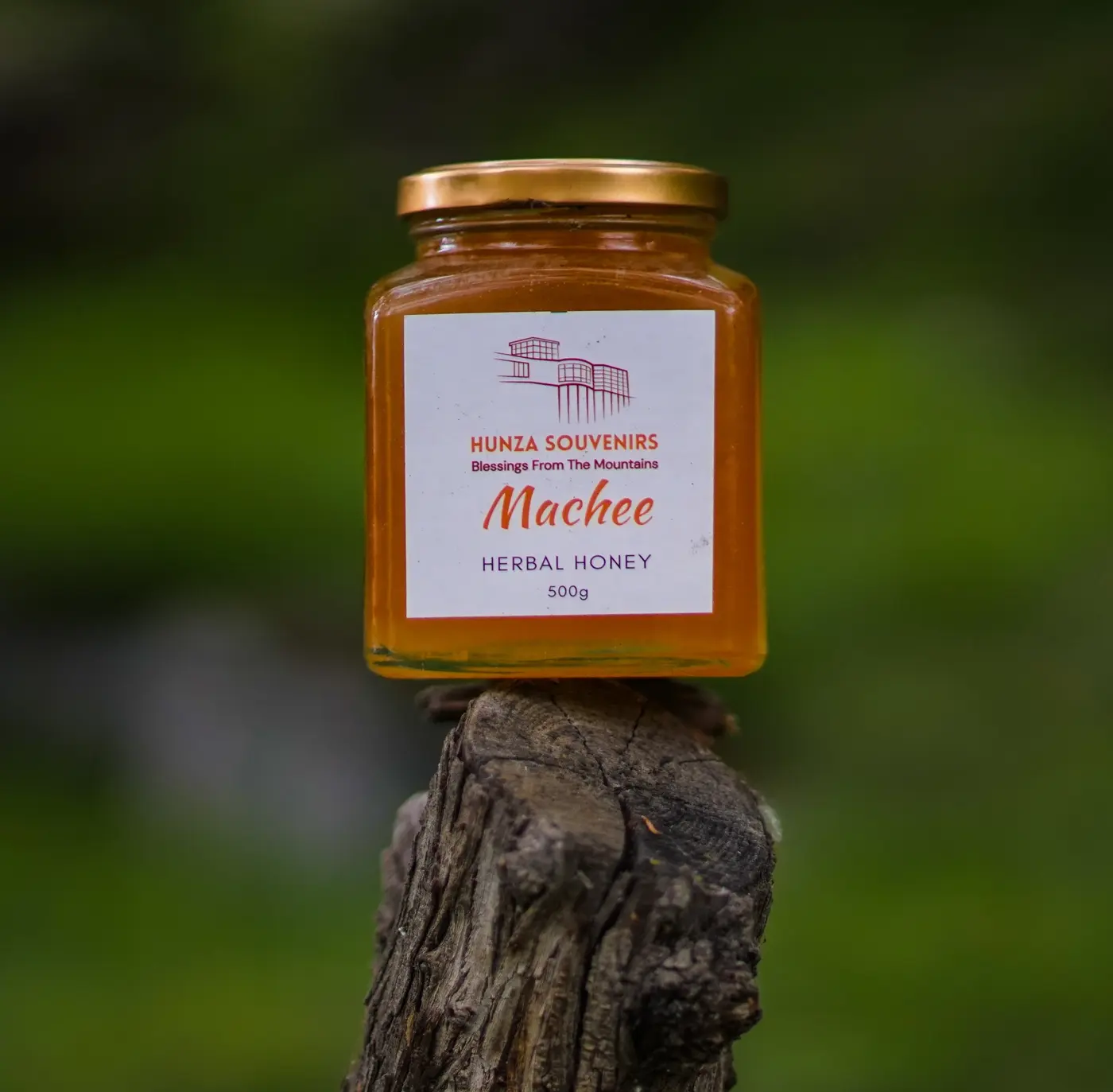 Machee Herbal Honey from Hunza
